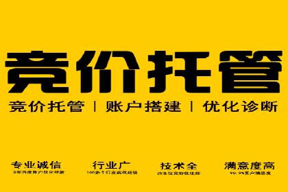 某企业选择SEM外包公司的决策与成果展示